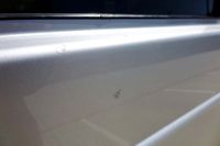 2004 Mercedes-Benz G55 AMG G55 for sale