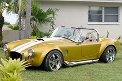 1966 Shelby Cobra Pearl Double strip for sale