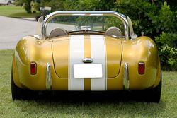 1966 Shelby Cobra Pearl Double strip for sale