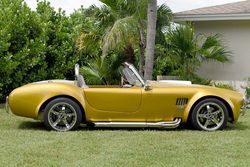1966 Shelby Cobra Pearl Double strip for sale