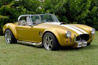 1966 Shelby Cobra Pearl Double strip for sale