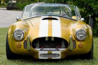 1966 Shelby Cobra Pearl Double strip for sale