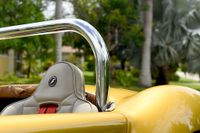 1966 Shelby Cobra Pearl Double strip for sale
