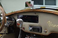 1966 Shelby Cobra Pearl Double strip for sale