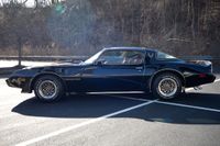 1979 Pontiac Firebird Bandit Special Edition for sale