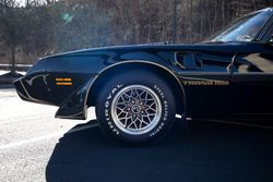 1979 Pontiac Firebird Bandit Special Edition for sale