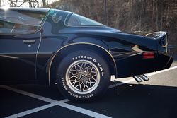 1979 Pontiac Firebird Bandit Special Edition for sale