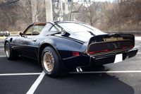 1979 Pontiac Firebird Bandit Special Edition for sale