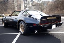 1979 Pontiac Firebird Bandit Special Edition for sale