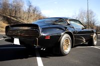 1979 Pontiac Firebird Bandit Special Edition for sale