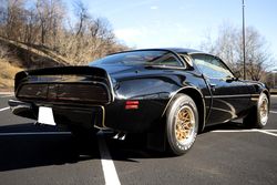 1979 Pontiac Firebird Bandit Special Edition for sale