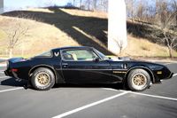 1979 Pontiac Firebird Bandit Special Edition for sale