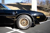 1979 Pontiac Firebird Bandit Special Edition for sale
