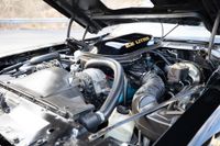1979 Pontiac Firebird Bandit Special Edition for sale