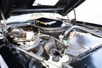 1979 Pontiac Firebird Bandit Special Edition for sale