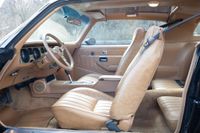 1979 Pontiac Firebird Bandit Special Edition for sale