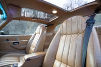 1979 Pontiac Firebird Bandit Special Edition for sale