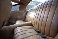 1979 Pontiac Firebird Bandit Special Edition for sale