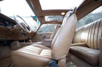 1979 Pontiac Firebird Bandit Special Edition for sale