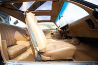 1979 Pontiac Firebird Bandit Special Edition for sale