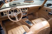 1979 Pontiac Firebird Bandit Special Edition for sale