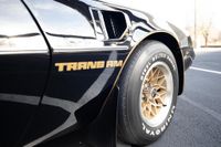 1979 Pontiac Firebird Bandit Special Edition for sale