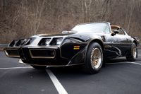 1979 Pontiac Firebird Bandit Special Edition for sale