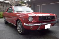 1966 Ford Mustang for sale