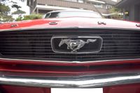 1966 Ford Mustang for sale