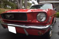 1966 Ford Mustang for sale