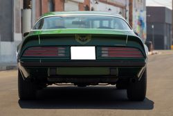 1975 Pontiac Firebird Coupe for sale