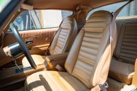 1975 Pontiac Firebird Coupe for sale