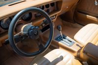 1975 Pontiac Firebird Coupe for sale