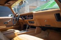 1975 Pontiac Firebird Coupe for sale