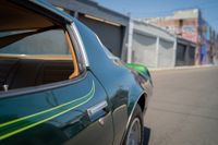1975 Pontiac Firebird Coupe for sale