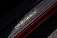 2004 Ford Thunderbird Premium Merlot Package for sale