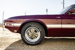 1969 Ford Mustang Fastback for sale