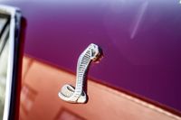 1969 Ford Mustang Fastback for sale