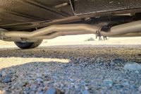 1969 Ford Mustang Fastback for sale