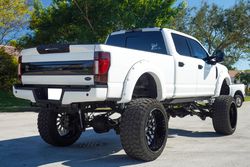 2020 Ford F-250 Platinum for sale