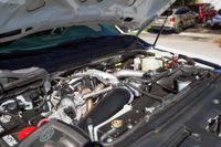 2020 Ford F-250 Platinum for sale