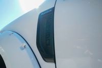 2020 Ford F-250 Platinum for sale