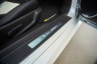 2014 Ford Mustang Saleen SA-30 #10/10 for sale