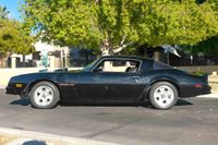 1976 Pontiac Firebird Trans Am 455 Manual for sale