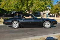 1976 Pontiac Firebird Trans Am 455 Manual for sale