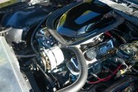 1976 Pontiac Firebird Trans Am 455 Manual for sale