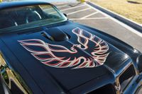 1976 Pontiac Firebird Trans Am 455 Manual for sale