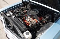 1965 Chevrolet Chevelle Sport Coupe for sale