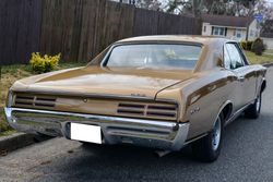 1967 Pontiac GTO Coupe 4 Speed for sale