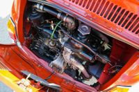 1968 Fiat 500 for sale